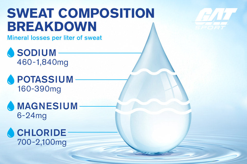 Sweat Composition Breakdown