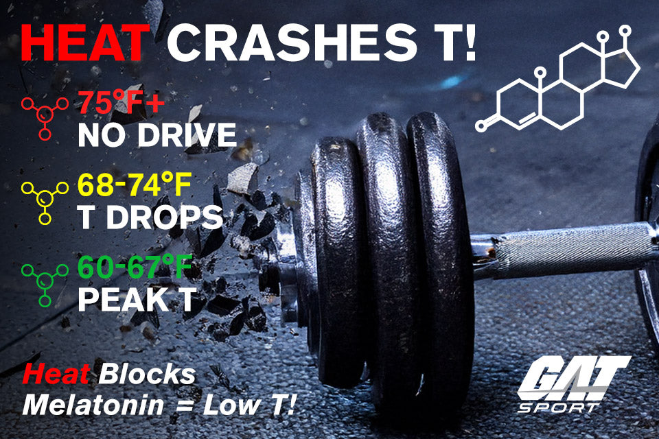 HEAT CRASHES TESTOSTERONE!