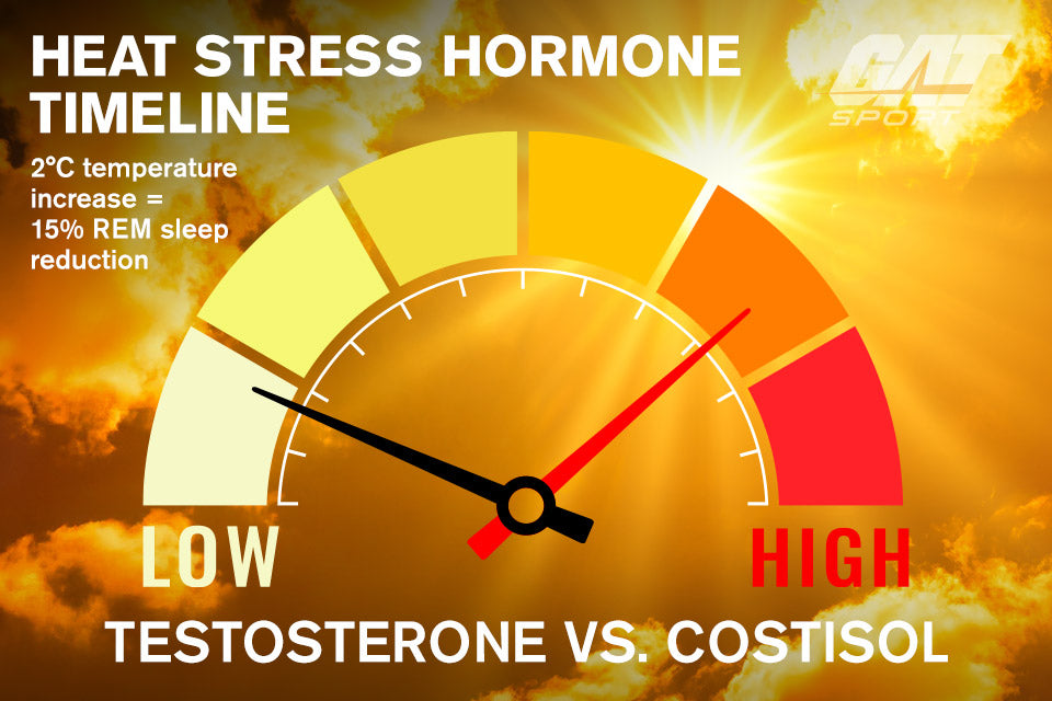 HEAT STRESS HORMONE TIMELINE