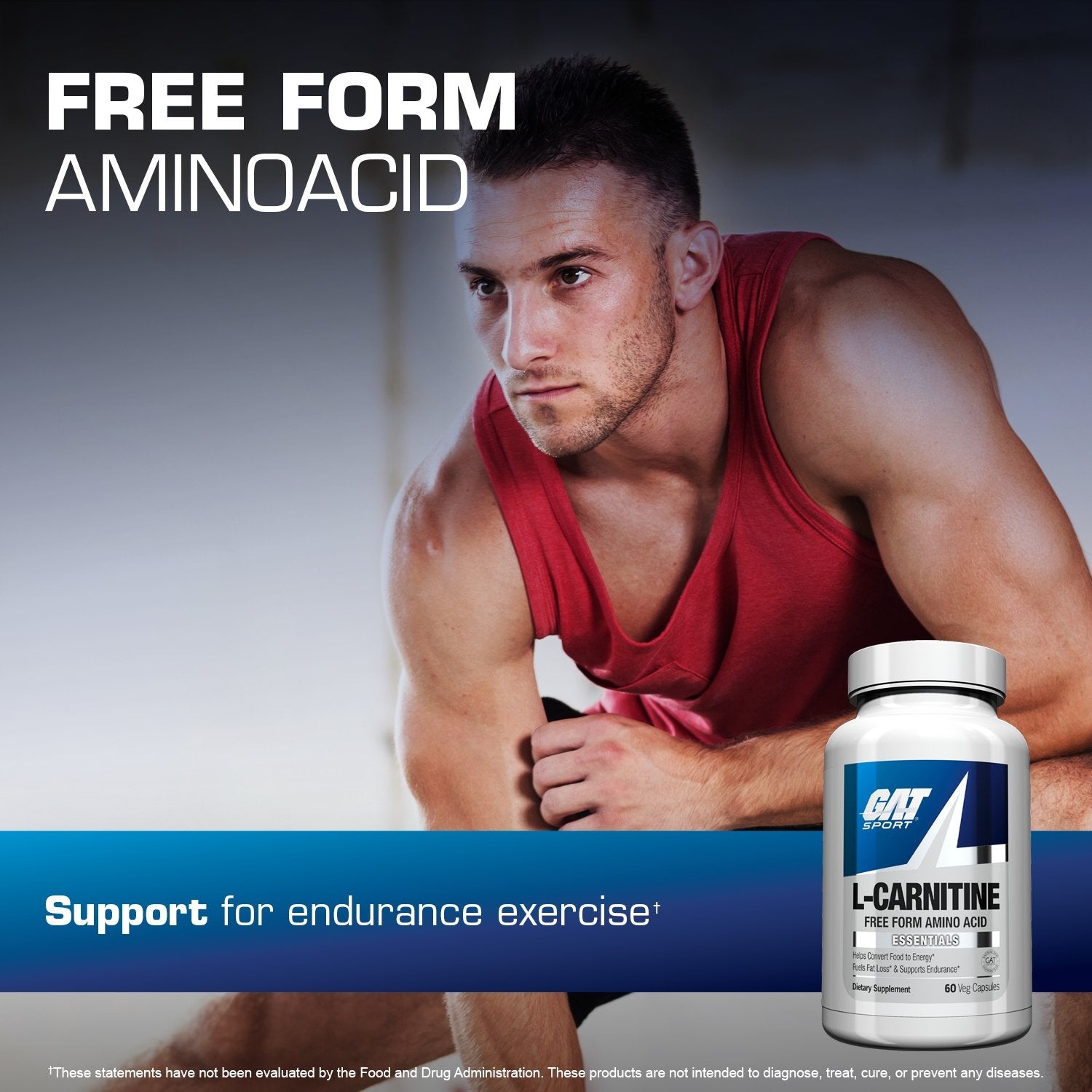 GAT SPORT L-CARNITINE - free form amino acid