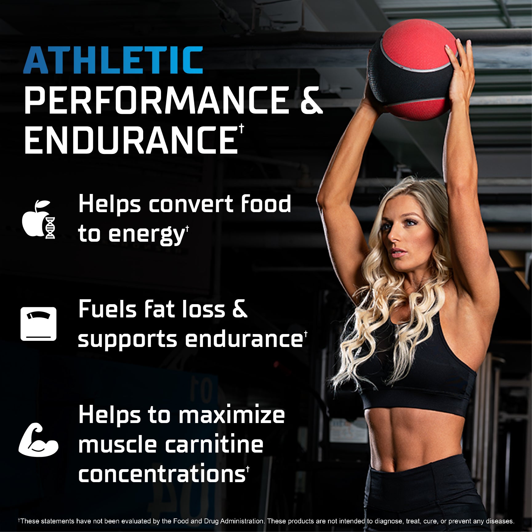 L - CARNITINE LIQUID - Athletic Performance & Endurance