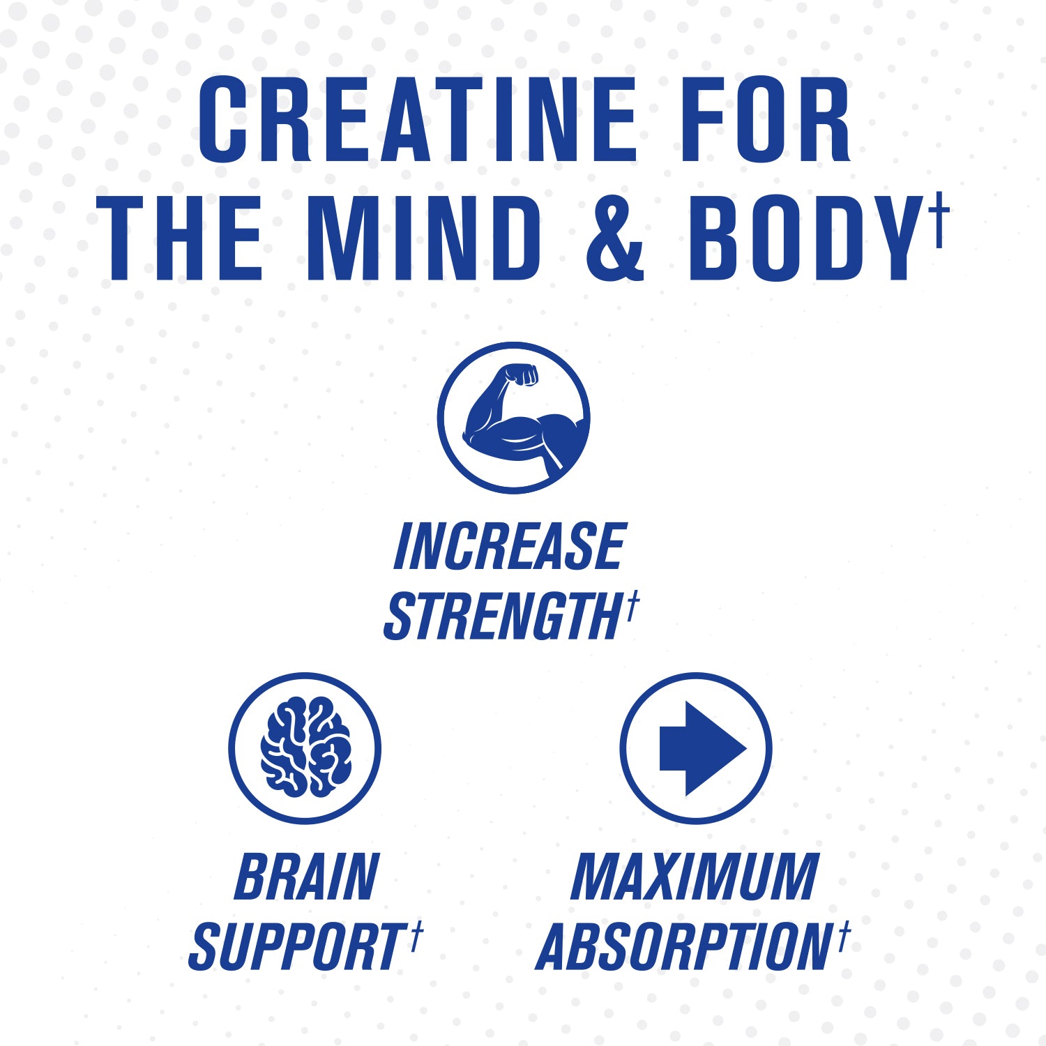 Nitraflex PRO Creatine - Creatine for the mind & body