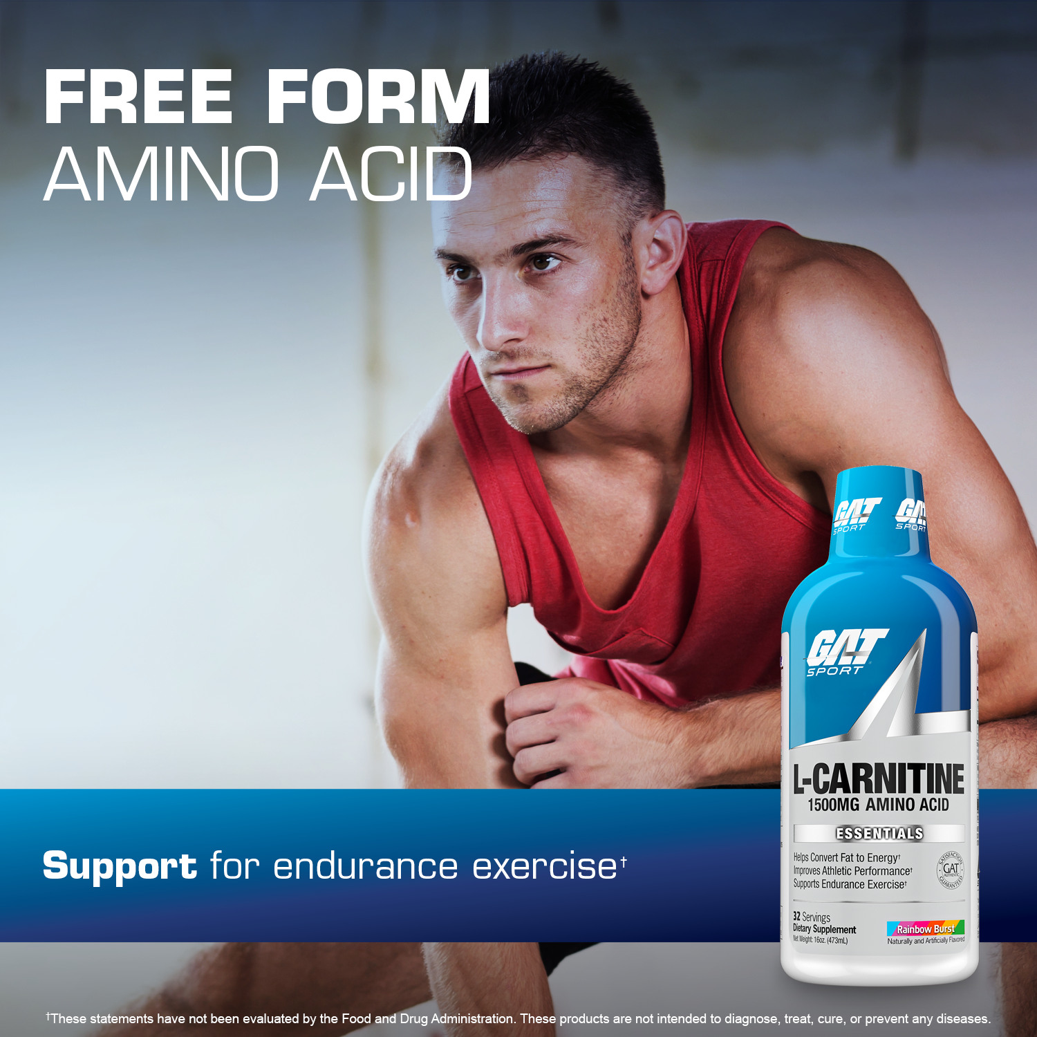 GAT SPORT L-CARNITINE LIQUID - free form amino acid